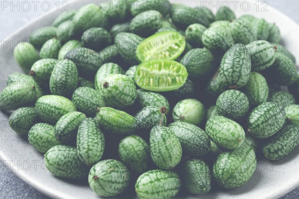 African cucumber, Mexican cucumber, mouse melon, Melothria