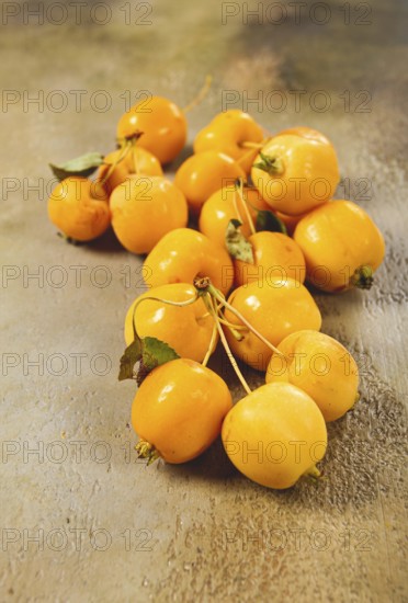 Yellow small apples, Chinese variety, scattered on the table, top view, no people