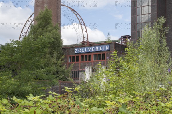 Zollverein coking plant, visitor centre, sun wheel, solar-powered Ferris wheel, blackberry bushes in the foreground, UNESCO World Heritage Site, Essen, Ruhr area, North Rhine-Westphalia, Germany