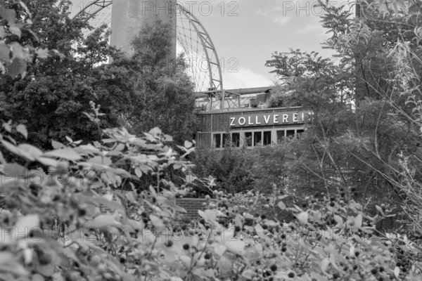 Zollverein coking plant, visitor centre, blackberry bushes in the foreground, sun wheel, black and white photo, UNESCO World Heritage Site, Essen, Ruhr area, North Rhine-Westphalia, Germany