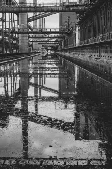 Zollverein coking plant, coke oven batteries, belt bridges and chimneys are reflected, water basin, black and white photo, UNESCO World Heritage Site, Essen, Ruhr area, North Rhine-Westphalia, Germany