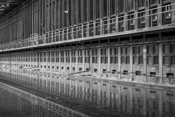 Zollverein coking plant, coke oven batteries are mirrored, water basin, black and white photo, UNESCO World Heritage Site, Essen, Ruhr area, North Rhine-Westphalia, Germany