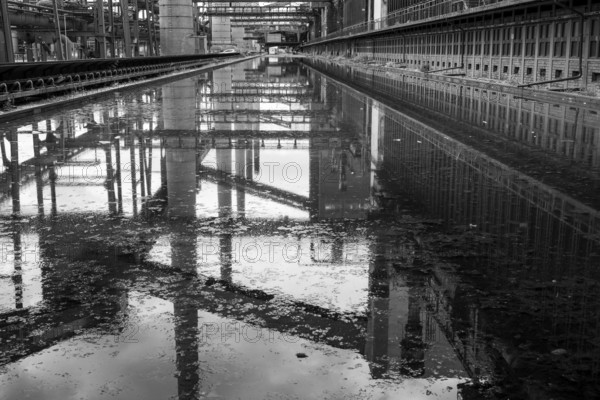 Zollverein coking plant, coke oven batteries and chimneys are reflected, water basin, black and white photo, UNESCO World Heritage Site, Essen, Ruhr area, North Rhine-Westphalia, Germany
