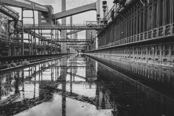 Zollverein coking plant, coke oven batteries, belt bridges and chimneys are reflected, water basin, black and white photo, UNESCO World Heritage Site, Essen, Ruhr area, North Rhine-Westphalia, Germany