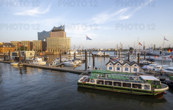 Boats in the City Sports Harbour on the Elbe, in the background Speicherstadt with Elbphilharmonie, in the evening light, Hamburg, Germany