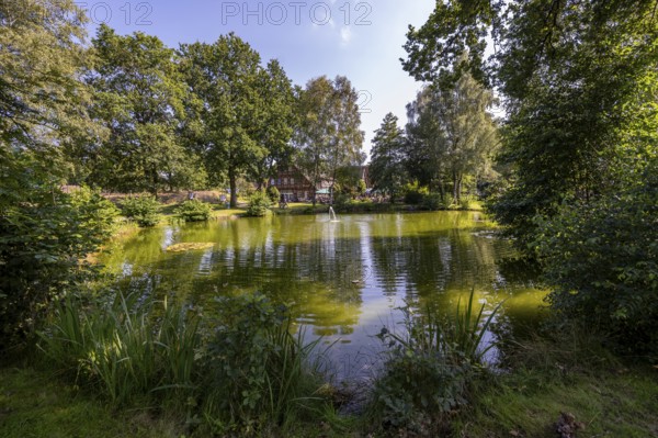Pond and traditional estate, Undeloh, Lower Saxony, Germany