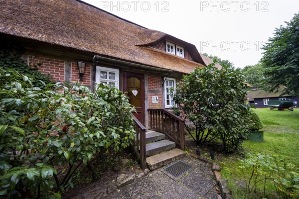 Gasthaus Zum Heidemuseum, typical thatched house, Wilsede, Lüneburg Heath nature reserve, Lower Saxony, Germany