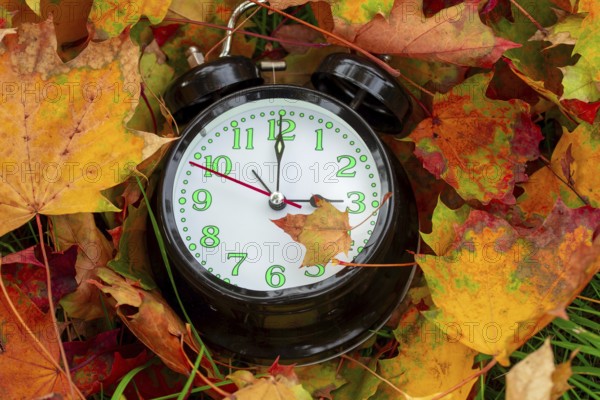 Winter time changeover: close-up of an alarm clock in autumn leaves