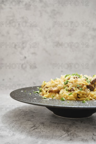 A delicious serving of risoni pasta on a black plate, topped with porcini mushrooms and sprinkled with fresh herbs. The background is neutral, highlighting the dish