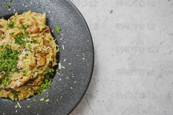 A delicious plate of risoni pasta combined with porcini mushrooms is presented beautifully. The dish is garnished with fresh herbs and grated cheese, showcasing a delightful culinary creation