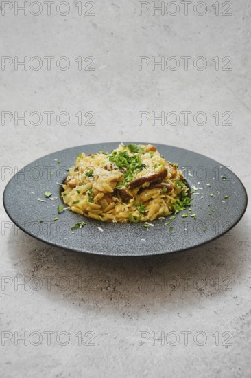 A beautifully plated dish featuring risoni pasta mixed with rich porcini mushrooms