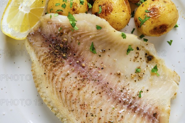 Flaky fish fillet is seasoned and served with roasted golden potatoes and fresh lemon slices. A healthy meal that looks appetizing and is ready to enjoy at any time of day