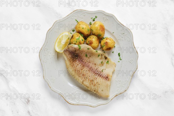 A perfectly grilled red seabream fish fillet alongside tender baby potatoes sprinkled with herbs. A lemon slice adds freshness to the dish, perfect for a healthy meal