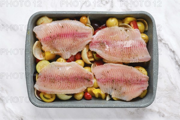 Fresh white fish fillets are arranged on a bed of colorful vegetables, including tomatoes and bell peppers. The dish is seasoned and prepared for a delicious baking in a roasting tray