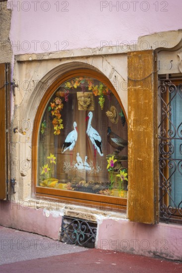 Shop window with stork, heraldic animal of Alsace, Colmar