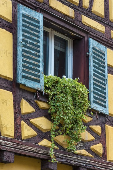 Window of a historic factory building, Colmar, France