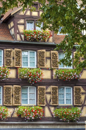 Historic half-timbered houses with flowers in the old town centre of Colmar, France