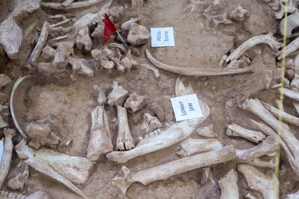 Beulah, Wyoming - The Vore Buffalo Jump, a sinkhole used by Plains Indians as a trap for bison from about 1550 through 1800. Archaeologists have uncovered thousands of bones, though only about 10 percent of the site has been excavated
