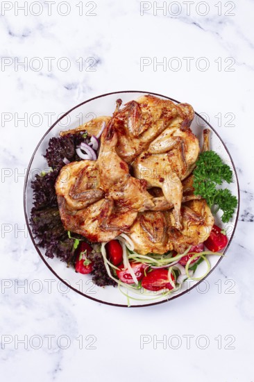 Baked quail, served on a plate with crispy lettuce leaves, fresh tomatoes and herbs, on a white plate, homemade