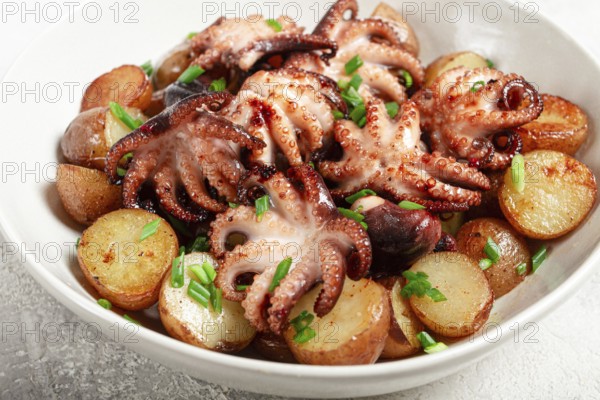 Baby grilled octopus with golden baked potatoes and fresh herbs, Maltese cuisine, homemade, no people