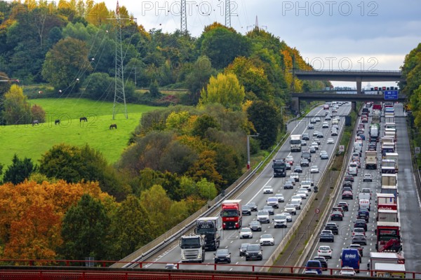 Landscape next to the traffic jam on the A3 motorway between the Hilden junction and the Mettmann junction, view to the south, traffic jam due to construction work, North Rhine-Westphalia, Germany