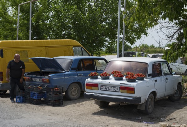 Cars parked at the side of the road, loaded with strawberries. A man stands next to them. Selling strawberries by the roadside, Tsiatsan, Armavir province, Armenia