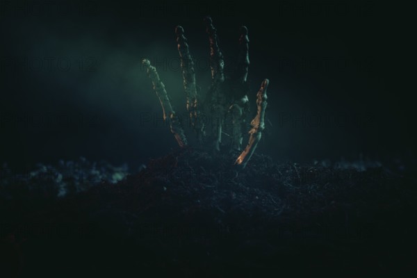 A single skeletonised hand protruding eerily from the dark earth, Halloween