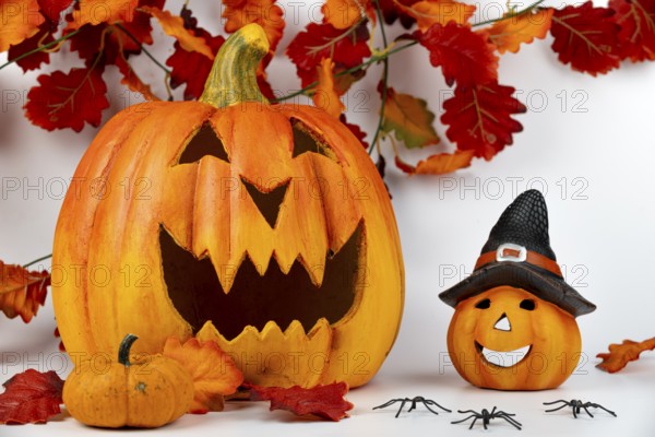 Halloween pumpkins surrounded by autumn leaves and spiders, white background