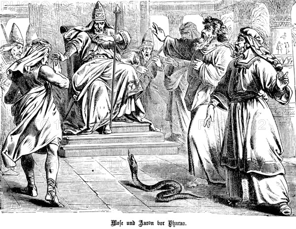 Moses and Aaron in front of Pharaoh, God hardens Pharaoh's heart, Aaron throws a staff and the servant becomes a snake, anger, astonishment, fear, throne room, Plalast, Egypt, Second Book of Moses, Chapter 1, Old Testament, Bible, historical illustration 1877