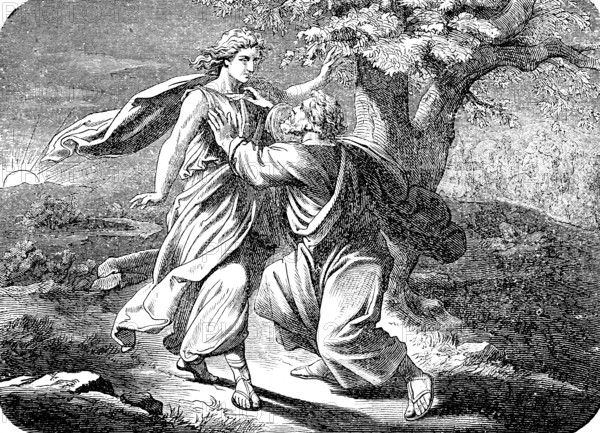 Jacob's battle with a stranger, the Lord, lasts until dawn, God, rising sun, landscape, light, Genesis, chapter 32, Genesis, Old Testament, Bible, historical illustration 1877