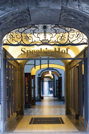 Speck's Hof, shopping arcade, Leipzig, Saxony, Germany
