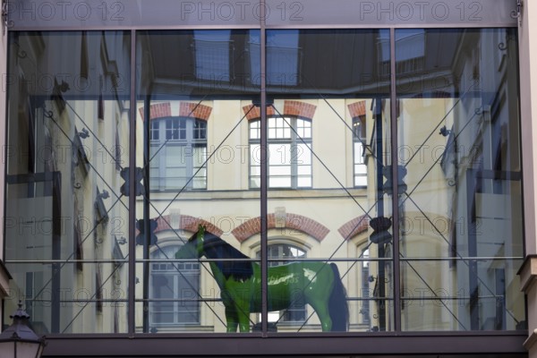 Horse show in the window, Leipzig, Saxony, Germany