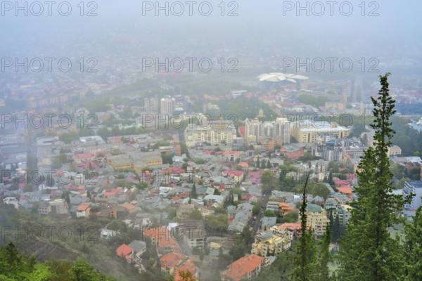 View of a city blanketed in fog with buildings and greenery in the foreground. Various buildings with colorful rooftops are visible, surrounded by trees and mountains