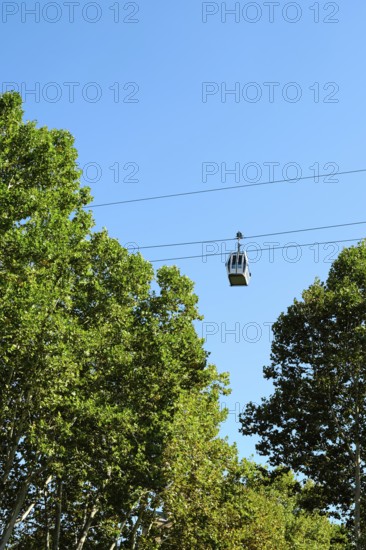 A cable car glides smoothly along rope road, surrounded by vibrant green trees. The clear blue sky enhances the peaceful setting during a sunny afternoon, perfect for outdoor adventures
