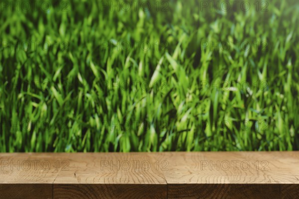 A wooden tabletop is placed in front of a lush green grass background. Sunlight enhances the vivid colors, creating a fresh and natural setting that invites outdoor enjoyment and relaxation