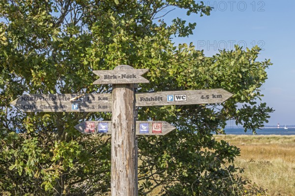 Signpost, Birk-Nack, Geltinger Birk nature reserve, Nieby, Schleswig-Holstein, Germany