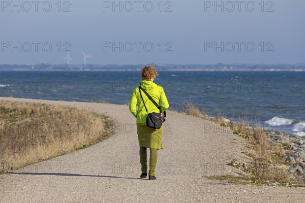Stroller, path, Baltic Sea, Geltinger Birk nature reserve, Nieby, Schleswig-Holstein, Germany