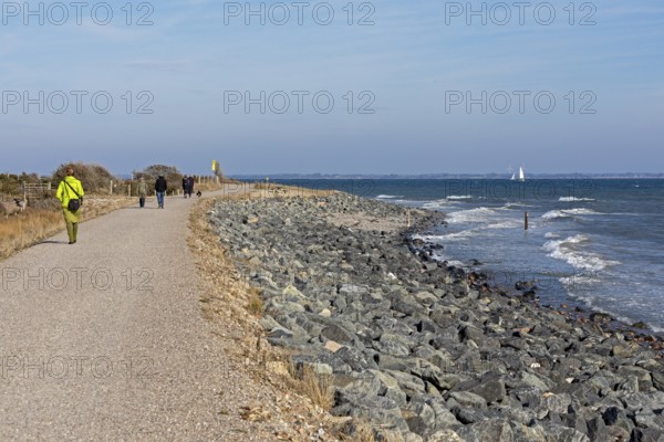 Stroller, path, Baltic Sea, sailing boat, Geltinger Birk nature reserve, Nieby, Schleswig-Holstein, Germany
