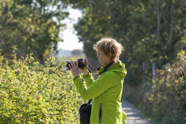 Elderly woman photographed, Geltinger Birk nature reserve, Nieby, Schleswig-Holstein, Germany