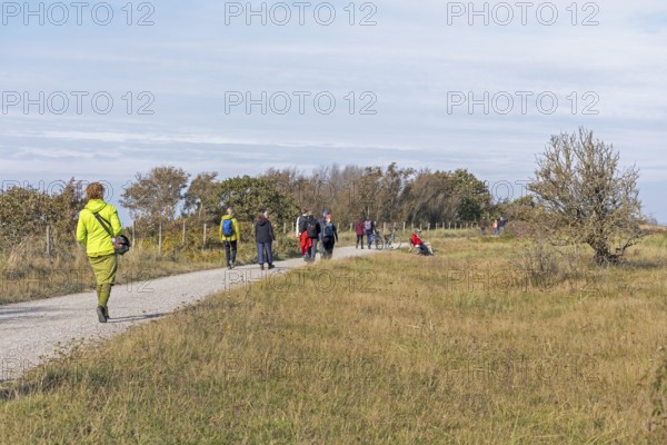 Walkers, path, trees, Geltinger Birk nature reserve, Nieby, Schleswig-Holstein, Germany