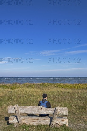 Man sitting on a bench, Baltic Sea, Geltinger Birk nature reserve, Nieby, Schleswig-Holstein, Germany