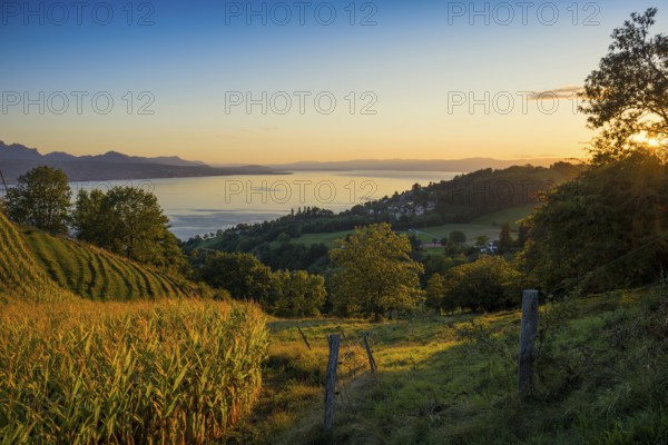 Panorama, Lake and mountains, Tour-de-Gourze, Riex, Sunset, Lavaux, UNESCO World Heritage Site, Lake Geneva, Lac Léman, Canton of Vaud, Switzerland