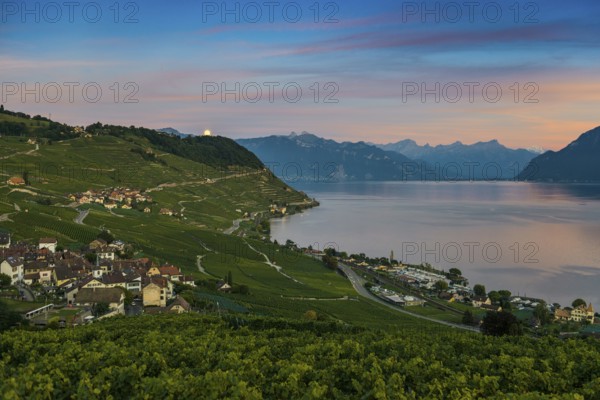 Picturesque village in the vineyards by the lake, Epesses, sunset, full moon, Lavaux, UNESCO World Heritage Site, Lake Geneva, Lac Léman, Canton of Vaud, Switzerland