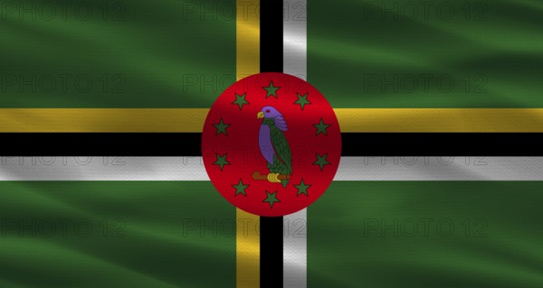 Dominica flag with fabric texture. Realistic flag of Dominica waving