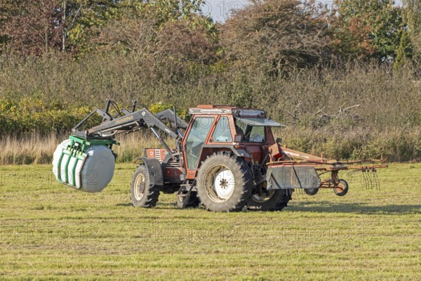 Tractor transporting bales of silage wrapped in film, Falshöft, Pommerby, Schleswig-Holstein, Germany