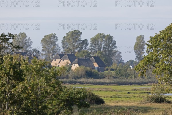 Holiday village Reetdorf Geltinger Birk, Geltinger Birk nature reserve, Geltinger Bucht, Schleswig-Holstein, Germany