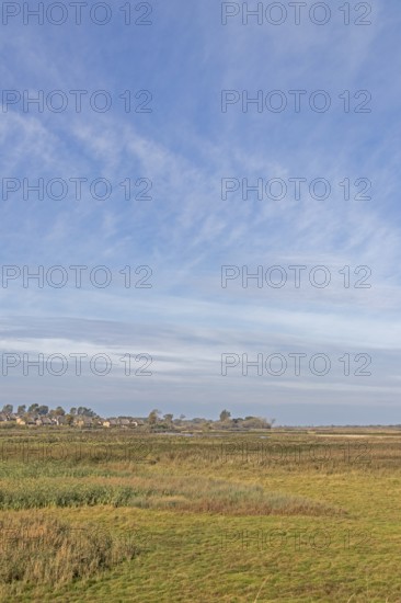 Holiday village Reetdorf Geltinger Birk, Geltinger Birk nature reserve, Geltinger Bucht, Schleswig-Holstein, Germany