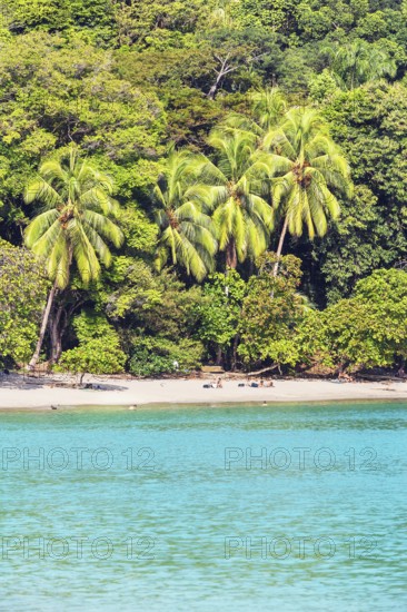 Tropical beach, Manuel Antonio National Park, Quepos, Costa Rica