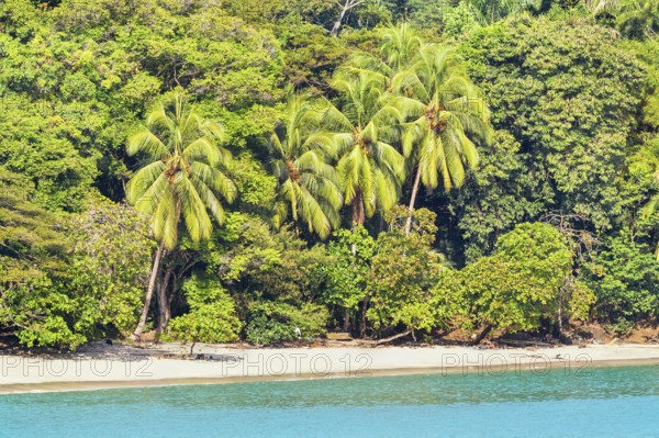 Beach, Manuel Antonio National Park, Quepos, Costa Rica