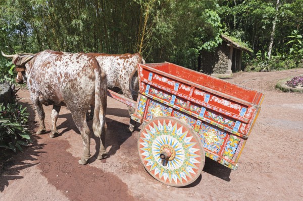 Decorative ox-cart, Costa Rica, Central America